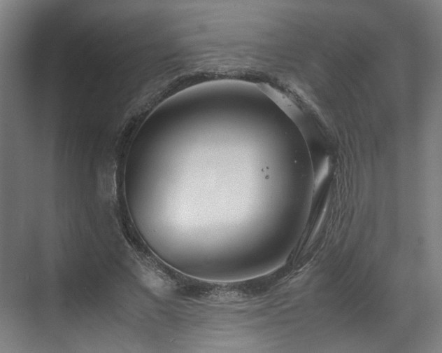 X0000070870685200606191343