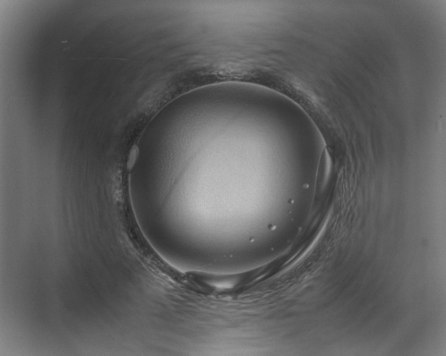 X0000070870689200606191343