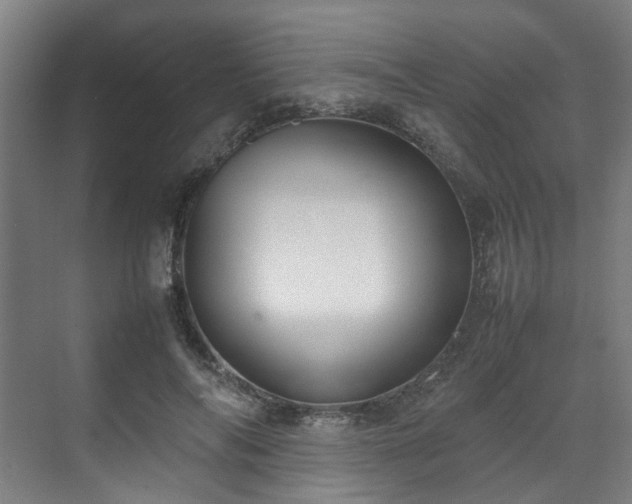 X0000070870694200606191343