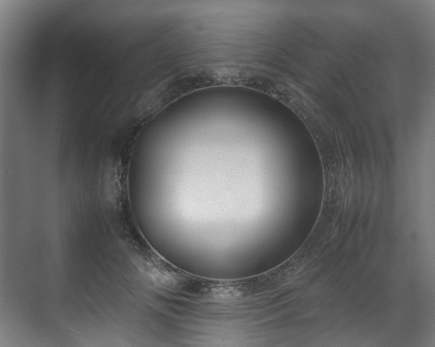 X0000070870702200606191342