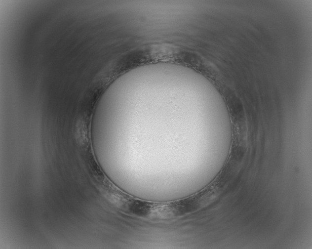 X0000070870705200606191342