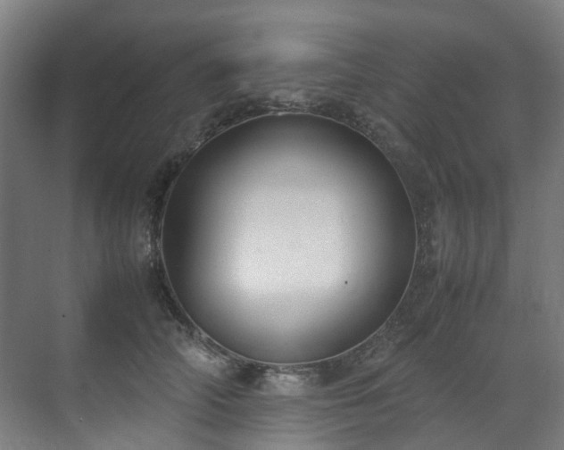 X0000070870706200606191342