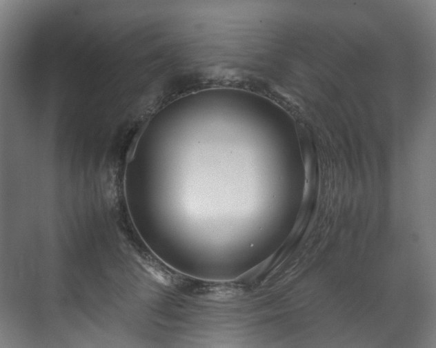 X0000070870708200606191342