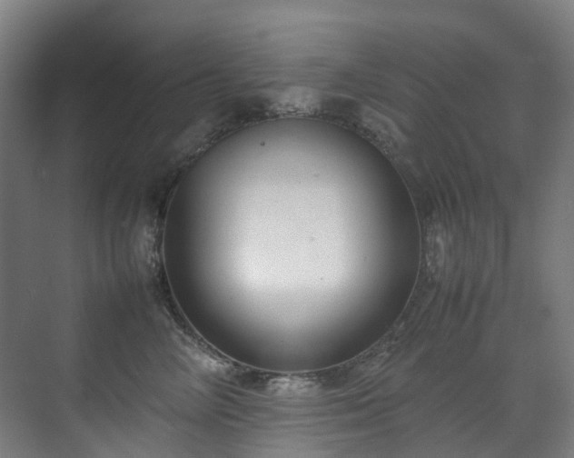 X0000070870714200606191342
