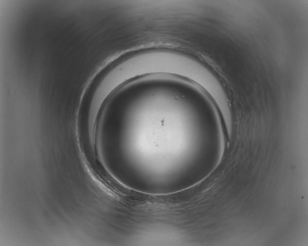 X0000070870726200606191341