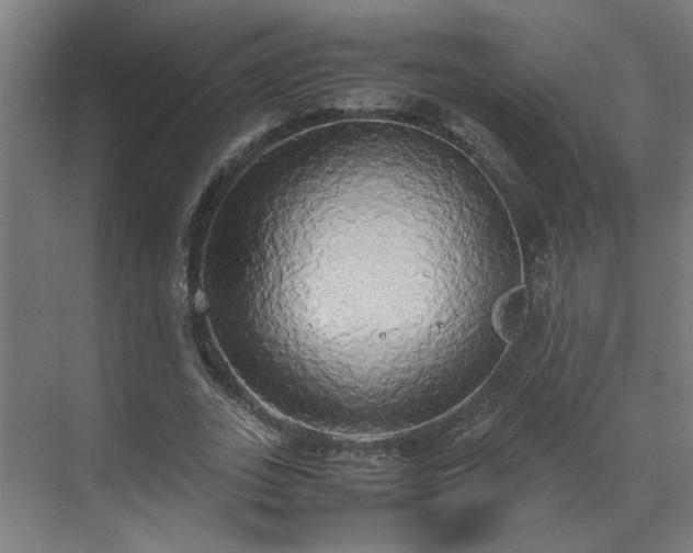 X0000070870727200606191341