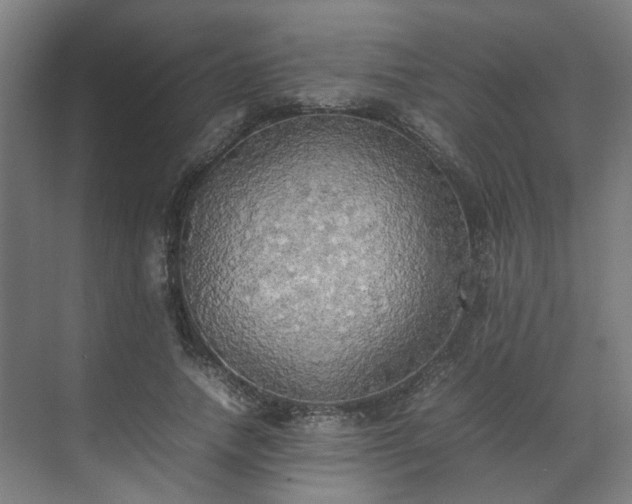X0000070870738200606191342