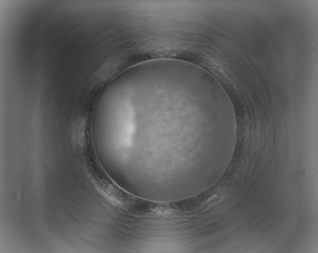 X0000070870742200606191342