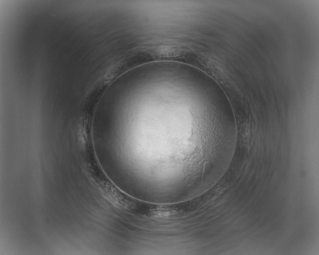 X0000070870746200606191342