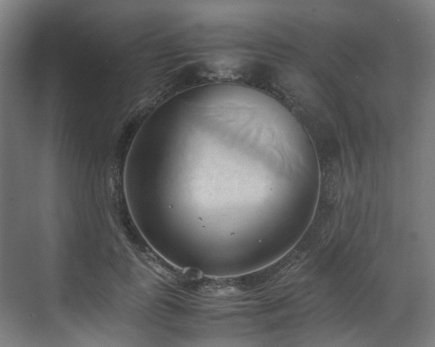 X0000070870747200606191342