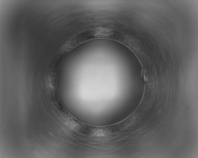 X0000070870755200606191342