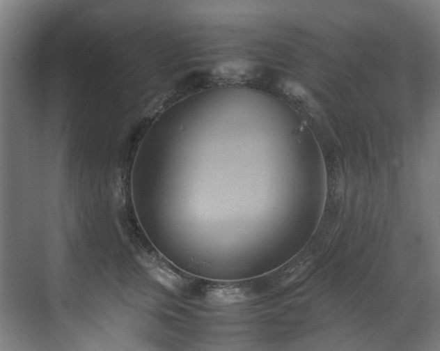 X0000070870759200606191342