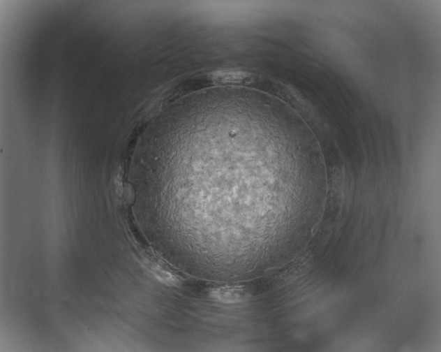 X0000070870761200606191342