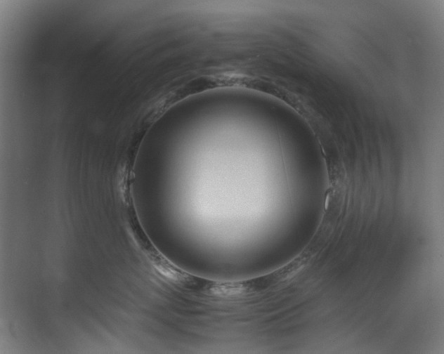 X0000070870767200606191342