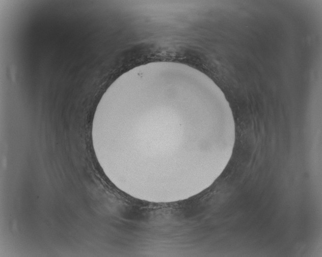X0000070870769200606191341