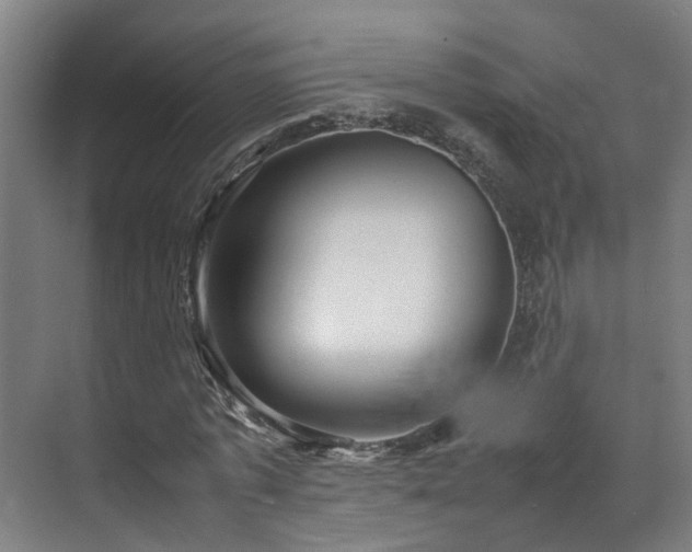 X0000070870773200606191341