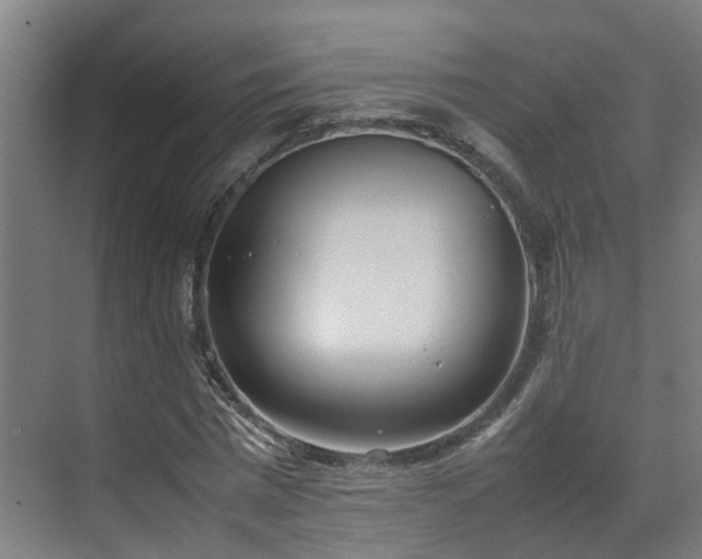 X0000070870777200606191341