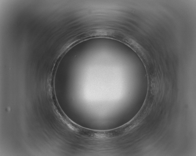 X0000070870794200606191341