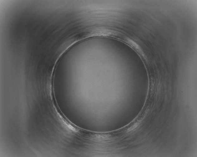 X0000070870802200606191341