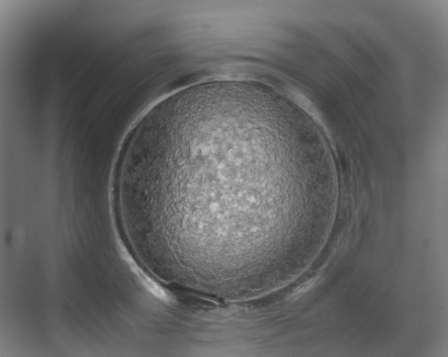 X0000070870803200606191341