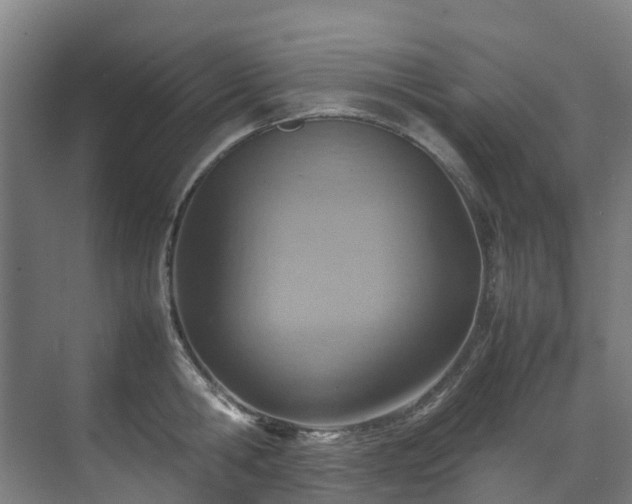 X0000070870806200606191341