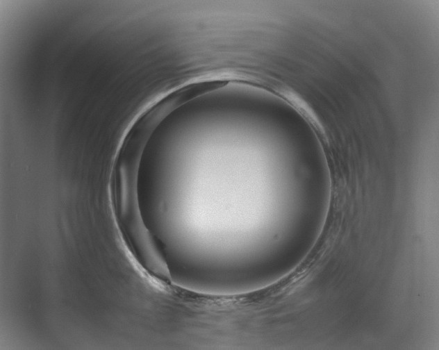 X0000070870813200606191341