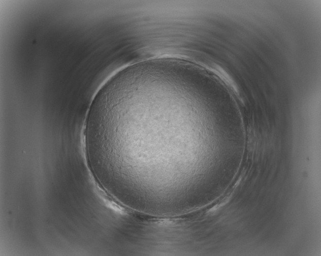 X0000070870814200606191341