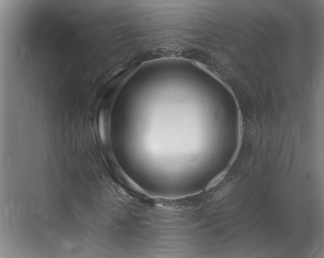 X0000070870818200606191340