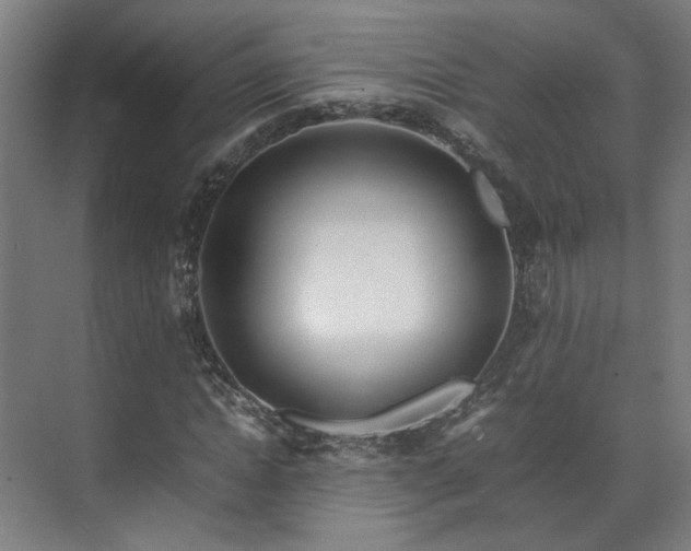 X0000070870822200606191340