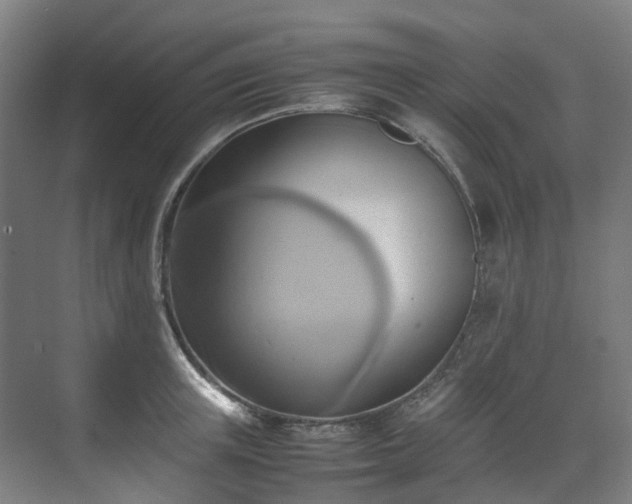 X0000070870851200606191340