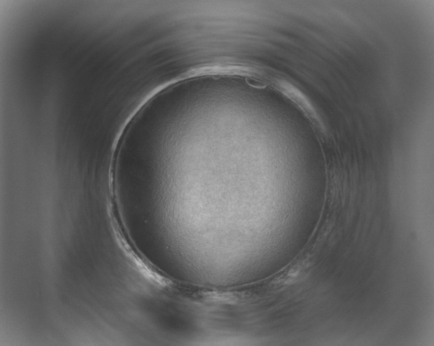 X0000070870852200606191340