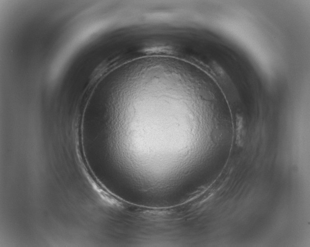 X0000070870861200606191340