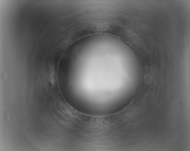 X0000070870866200606191340