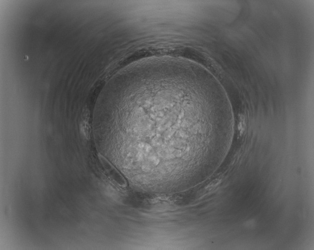 X0000070870867200606191340