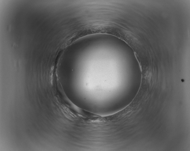 X0000070870868200606191340