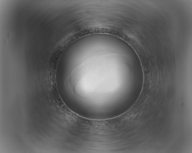 X0000070870870200606191340