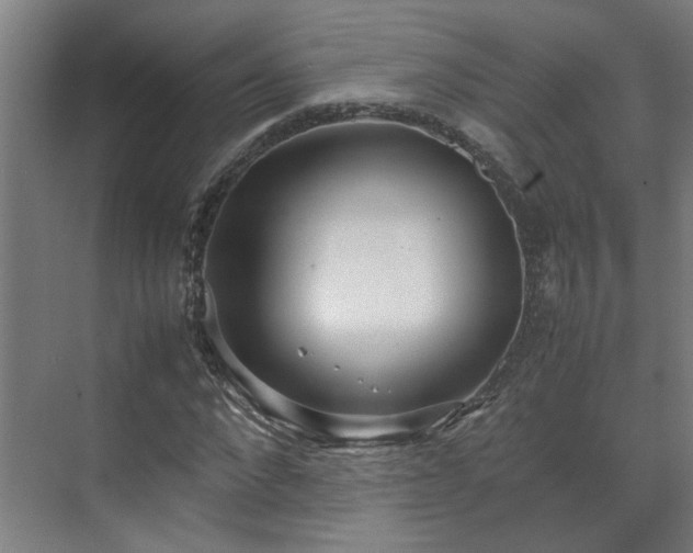 X0000070870872200606191340