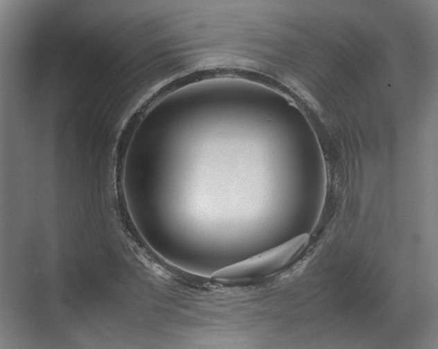 X0000070870877200606191339
