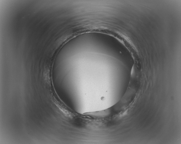 X0000070870881200606191339
