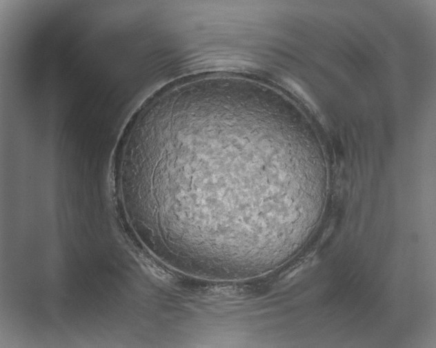 X0000070870883200606191339