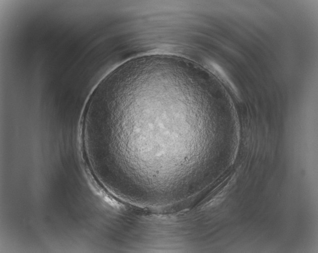 X0000070870900200606191339