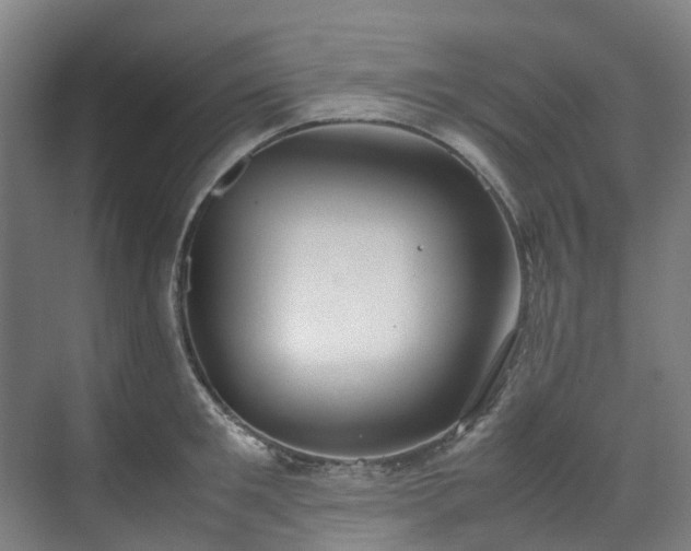 X0000070870901200606191339