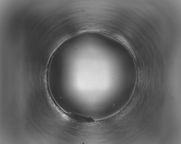 X0000070870906200606191339