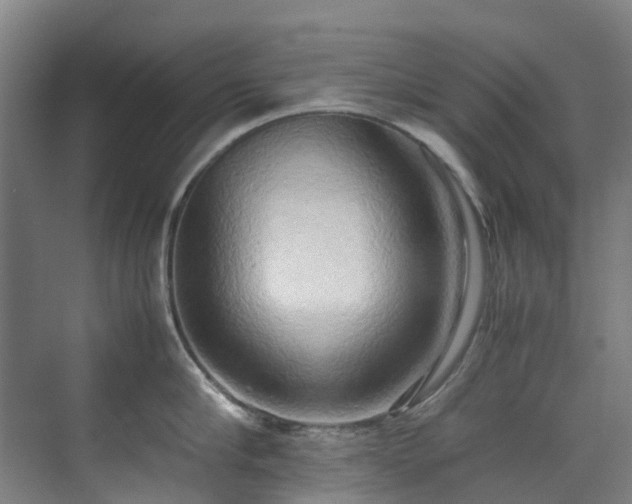 X0000070870910200606191339