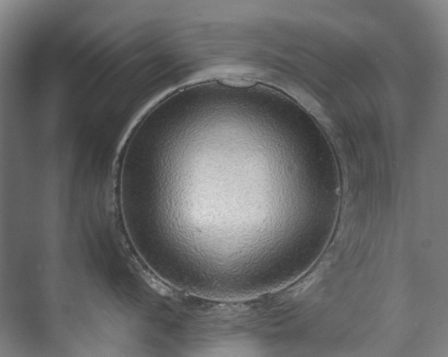 X0000070870912200606191339