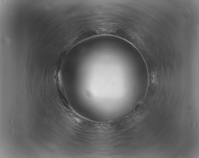 X0000070870915200606191338