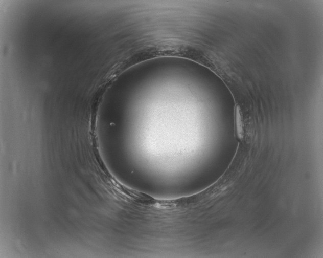 X0000070870916200606191338