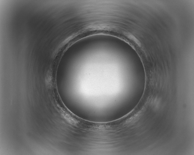 X0000070870922200606191338
