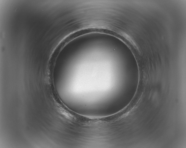 X0000070870926200606191338