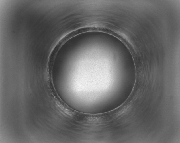 X0000070870927200606191338